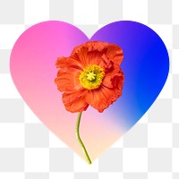 Red flower png on gradient shape, heart badge in transparent background