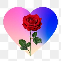 Red rose png on gradient shape, heart badge in transparent background