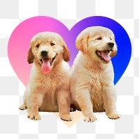 Golden retriever puppies png, heart badge design in transparent background