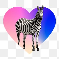 Zebra png, heart badge design in transparent background