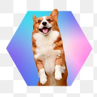 Cute Corgi dog png, hexagon badge in transparent background