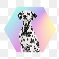 Dalmatian dog png, hexagon badge in transparent background