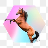 Brown horse png, hexagon badge in transparent background