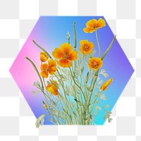 Yellow flower png on gradient shape, hexagon badge in transparent background