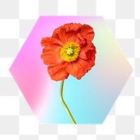 Red flower png on gradient shape, hexagon badge in transparent background