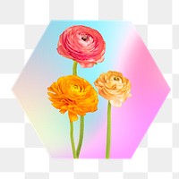 Rose png on gradient shape, hexagon badge in transparent background