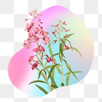 Pink flower png on gradient shape, transparent background