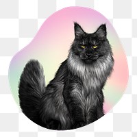 Maine Coon cat png, transparent background