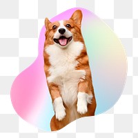 Cute Corgi dog png, transparent background