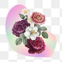 Rose png  on gradient shape, transparent background