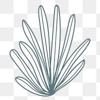 Coral png sticker, line art transparent background