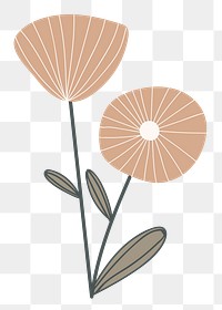 Cute flower png sticker, doodle botanical transparent background