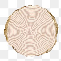 Spiral round png sticker, ripped paper, transparent background