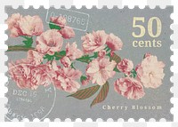PNG floral postage stamp, vintage cherry blossom collage element, transparent background