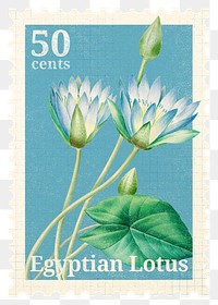 PNG lotus postage stamp, flower collage element, Pierre Joseph Redouté's famous artwork, transparent background, remixed by rawpixel