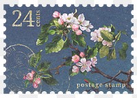 PNG floral postage stamp, aesthetic apple blossom flower collage element, transparent background