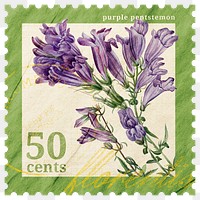 PNG floral postage stamp, aesthetic purple beardtongues flower collage element, transparent background