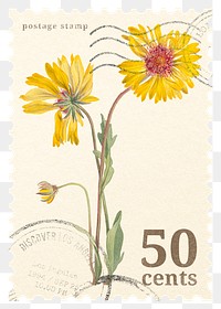 PNG floral postage stamp, aesthetic yellow flower collage element, transparent background