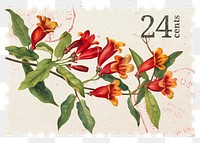 PNG floral postage stamp, aesthetic red crossvine flower collage element, transparent background