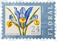 PNG floral postage stamp, aesthetic bearded iris collage element, transparent background