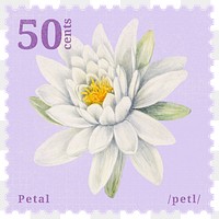 PNG vintage flower postage stamp, water lily collage element, transparent background