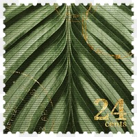 Postage stamp png, calathea leaf sticker, aesthetic collage element, transparent background