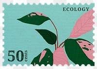 PNG botanical postal stamp, pink princess philodendron sticker, aesthetic collage element, transparent background