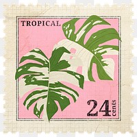 Postage stamp png, monstera leaf sticker, aesthetic collage element, transparent background