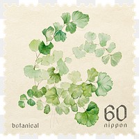 PNG botanical postage stamp, aesthetic ginkgo, transparent background