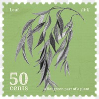 Postage stamp png, weeping willow leaf sticker, aesthetic collage element, transparent background