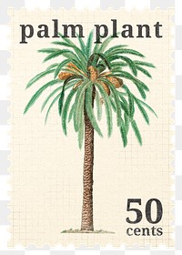 PNG botanical postage stamp, aesthetic palm tree collage element, transparent background