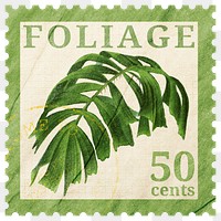 Postage stamp png, palm leaf sticker, aesthetic collage element, transparent background