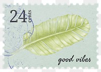 PNG botanical postage stamp, aesthetic banana leaf, transparent background