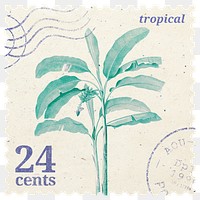 PNG botanical postage stamp, aesthetic banana tree collage element, transparent background