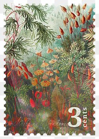 PNG vintage postage stamp, mosses design, aesthetic collage element, transparent background, remixed by rawpixel