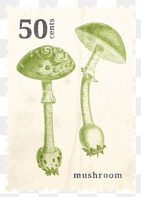 Postage stamp png, aesthetic mushroom, ephemera collage element, transparent background, remixed by rawpixel