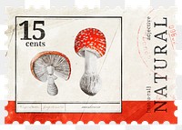 Postage stamp png, poison mushroom, ephemera collage element, transparent background, remixed by rawpixel