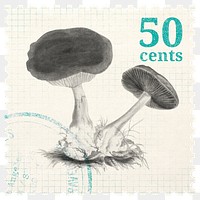 Postage stamp png, aesthetic mushroom, ephemera collage element, transparent background, remixed by rawpixel