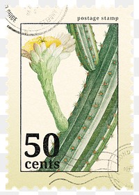 PNG cactus postage stamp, aesthetic botanical collage element, transparent background, remixed by rawpixel