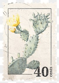 PNG cactus postage stamp, aesthetic botanical collage element, transparent background, remixed by rawpixel