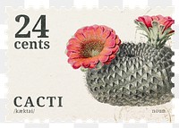 PNG cactus postage stamp, aesthetic botanical collage element, transparent background, remixed by rawpixel