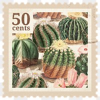 PNG cactus postage stamp, aesthetic botanical collage element, transparent background, remixed by rawpixel