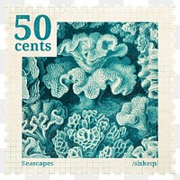 PNG aesthetic postage stamp sticker, ephemera coral collage element, transparent background, remixed by rawpixel