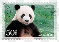 Panda png post stamp sticker, transparent background