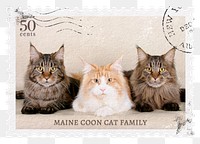 Cats png post stamp sticker, transparent background