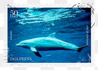 Dolphin png post stamp sticker, transparent background