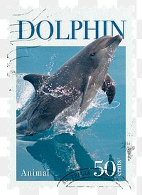 Dolphin png post stamp sticker, transparent background