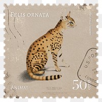 Wild cat png post stamp, ephemera sticker, transparent background