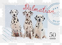 Dalmatian png post stamp sticker, transparent background