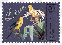 Parrot png post stamp, ephemera sticker, transparent background